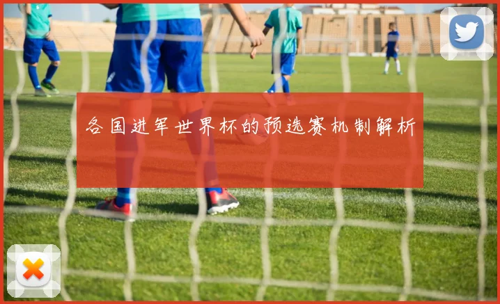 各国进军世界杯的预选赛机制解析
