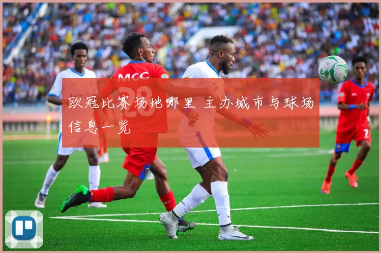 欧冠比赛场地哪里 主办城市与球场信息一览