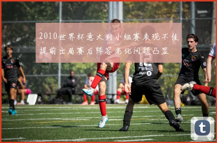 2010世界杯意大利小组赛表现不佳提前出局赛后阵容老化问题凸显