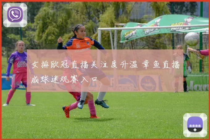 女排欧冠直播关注度升温 章鱼直播成球迷观赛入口