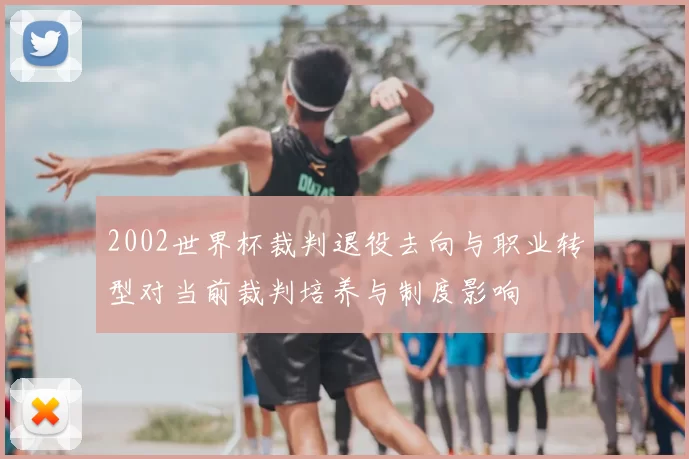 2002世界杯裁判退役去向与职业转型对当前裁判培养与制度影响