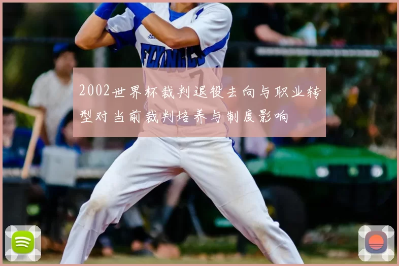 2002世界杯裁判退役去向与职业转型对当前裁判培养与制度影响