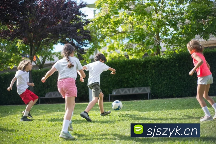 多媒体互动体验